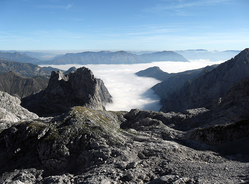 VLUU L310 W / Samsung L310 W